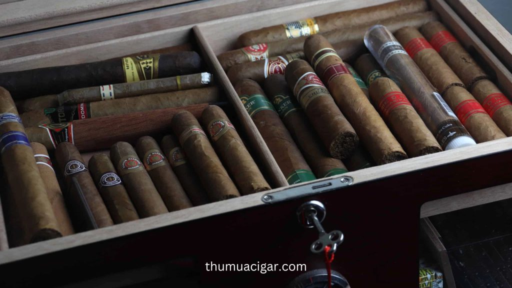 Dịch Vụ Thu Mua Cigar Uy Tín Tại Bắc Từ Liêm