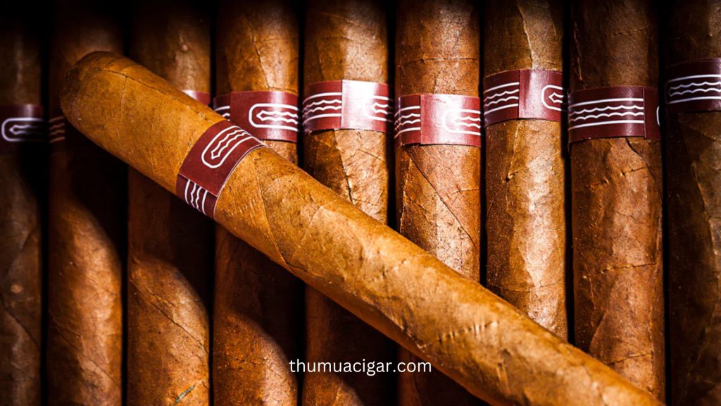 Tại Sao Nên Lựa Chọn Dịch Vụ tại Thu Mua Cigar