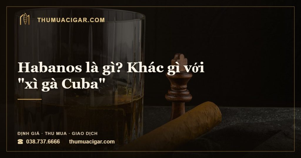 Habanos là gì? Khác gì với "xì gà Cuba" — thumuacigar.com