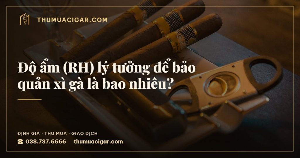 Độ ẩm (RH) lý tưởng để bảo quản xì gà là bao nhiêu? — thumuacigar.com