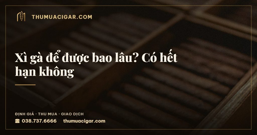 Xì gà để được bao lâu? Có hết hạn không — thumuacigar.com