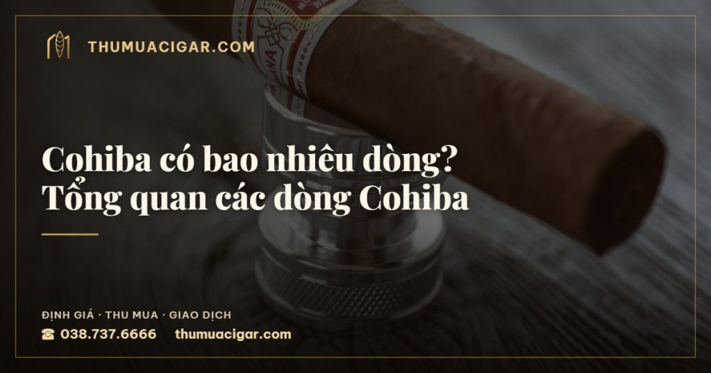 Cohiba có bao nhiêu dòng? Tổng quan các dòng Cohiba — thumuacigar.com