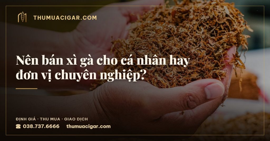 Nên bán xì gà cho cá nhân hay đơn vị chuyên nghiệp? — thumuacigar.com