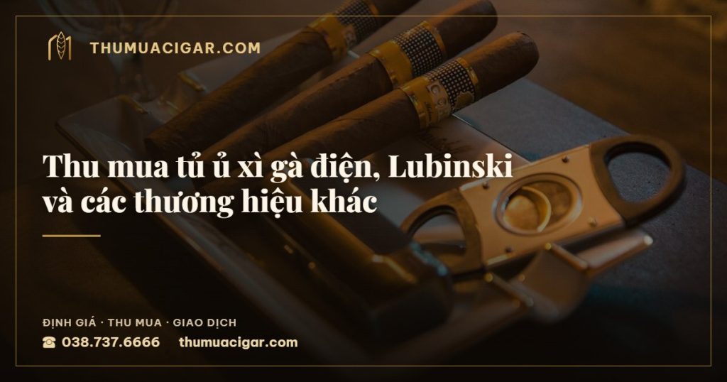 Thu mua tủ ủ xì gà điện, Lubinski và các thương hiệu khác — thumuacigar.com