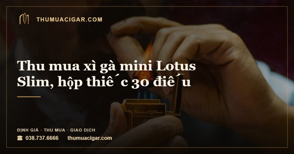 Thu mua xì gà mini Lotus Slim, hộp thiếc 30 điếu — thumuacigar.com