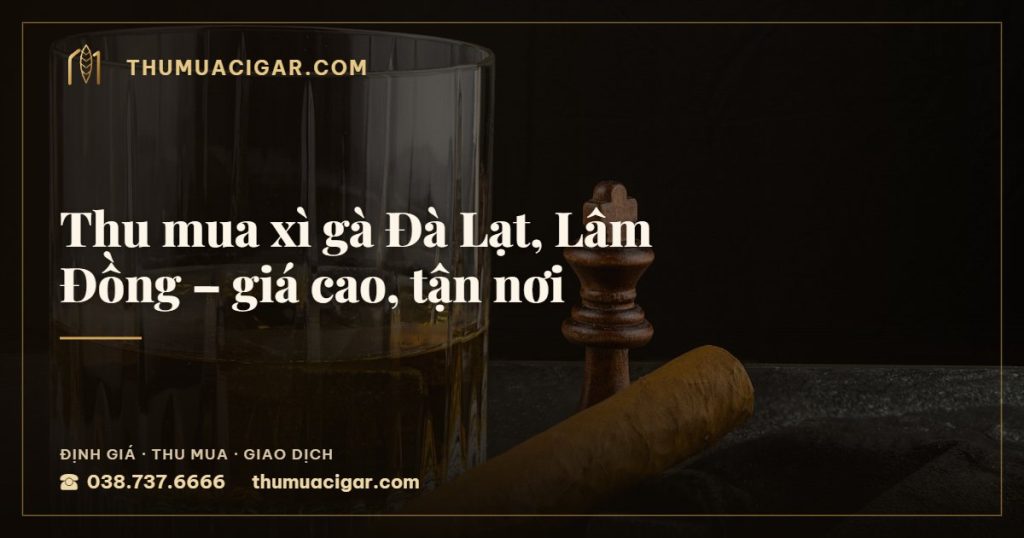 Thu mua xì gà Đà Lạt, Lâm Đồng – giá cao, tận nơi — thumuacigar.com