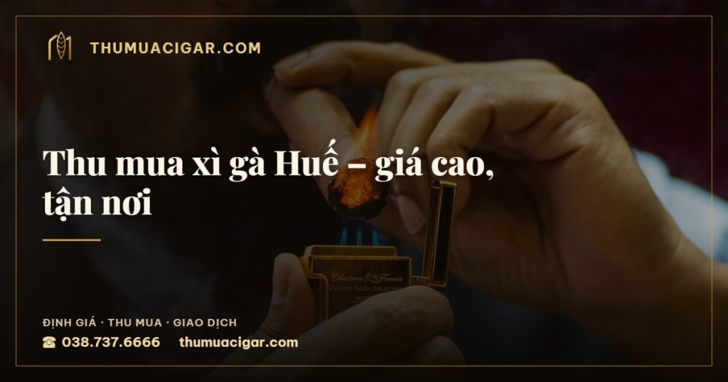 Thu mua xì gà Huế – giá cao, tận nơi — thumuacigar.com