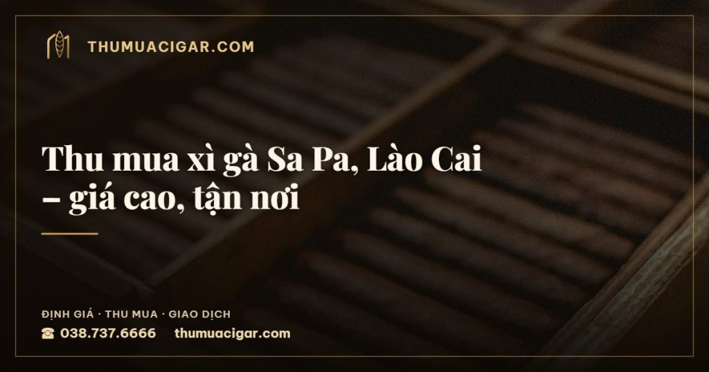 Thu mua xì gà Sa Pa, Lào Cai – giá cao, tận nơi — thumuacigar.com