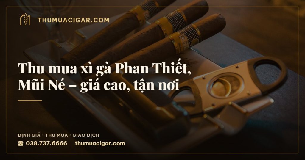 Thu mua xì gà Phan Thiết, Mũi Né – giá cao, tận nơi — thumuacigar.com