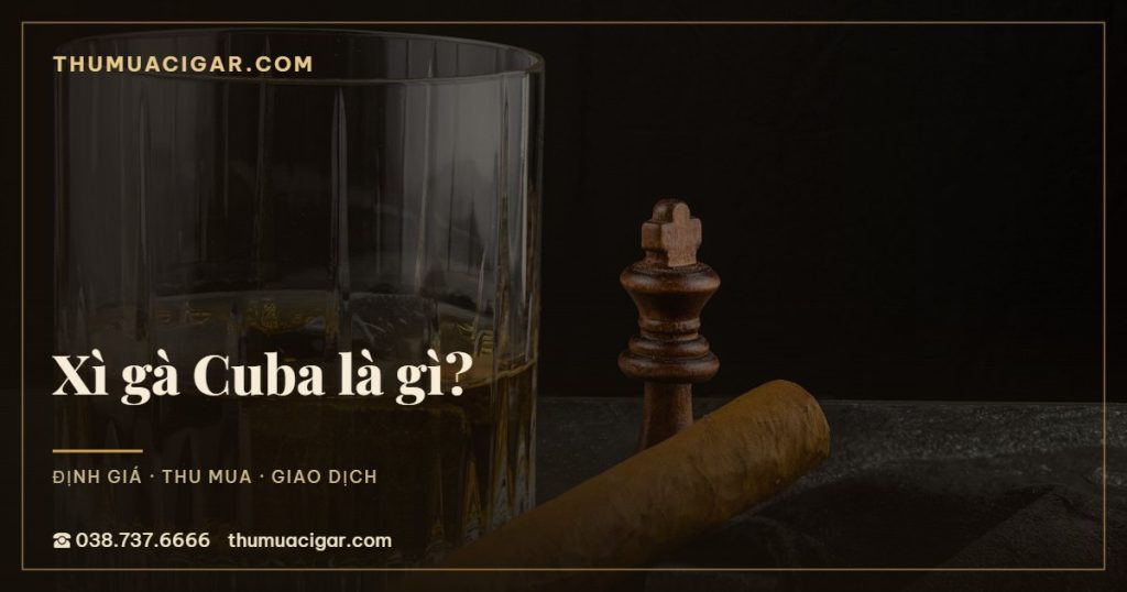 Xì gà Cuba là gì?