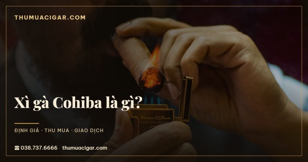 Xì gà Cohiba là gì?