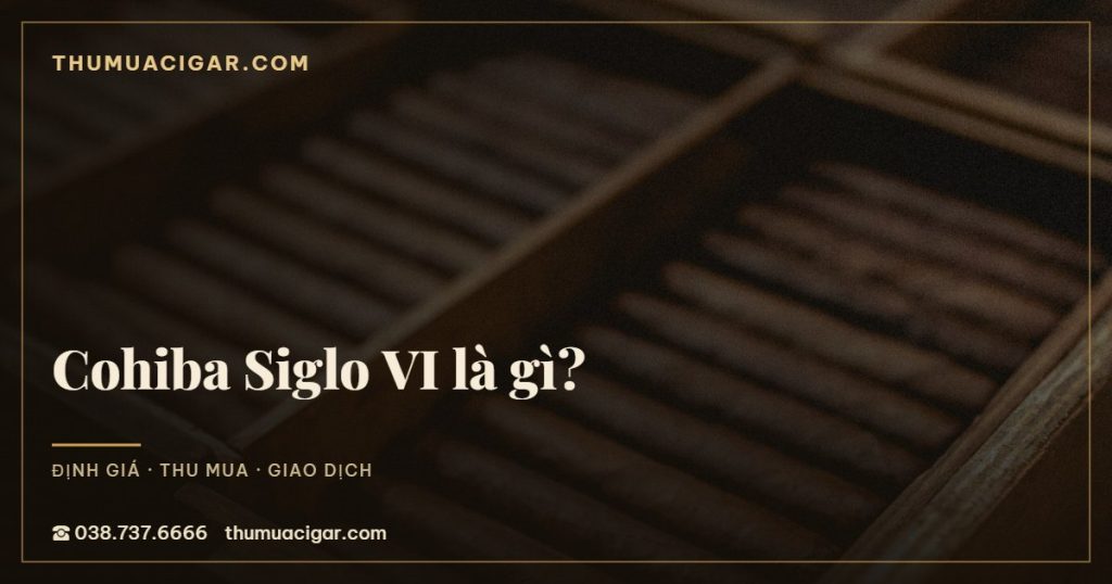 Cohiba Siglo VI là gì?