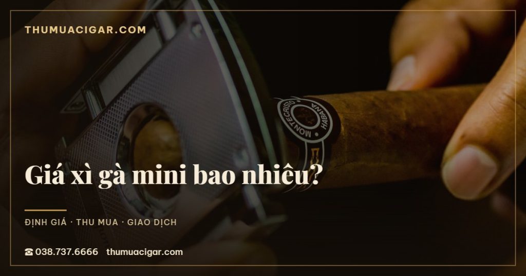 Giá xì gà mini bao nhiêu?