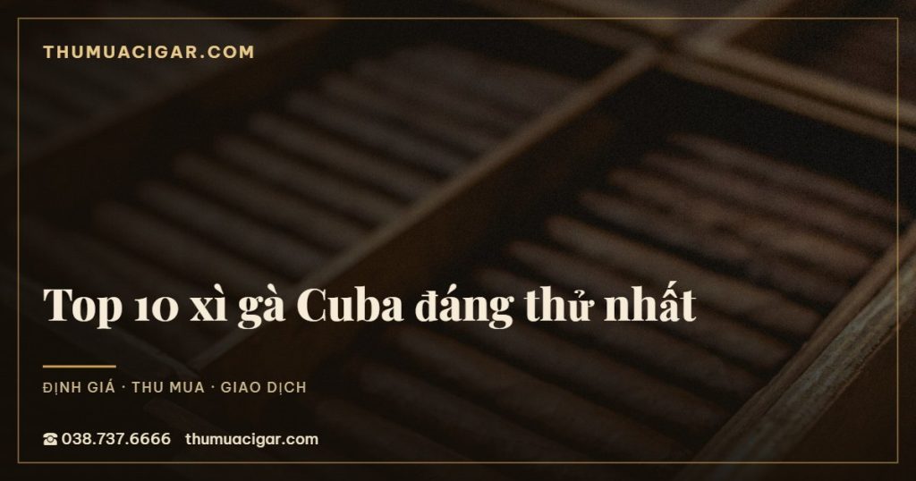 Top 10 xì gà Cuba đáng thử nhất