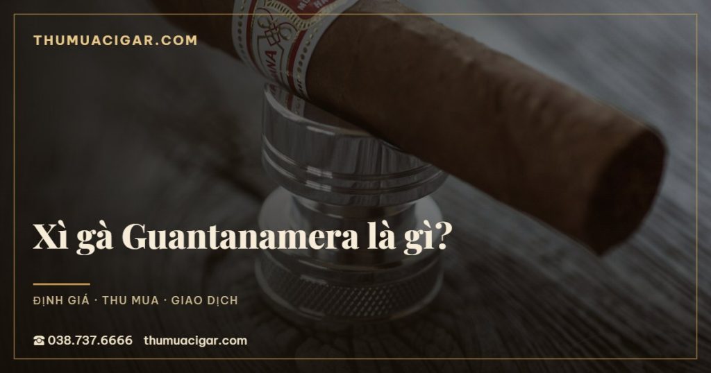 Xì gà Guantanamera là gì?