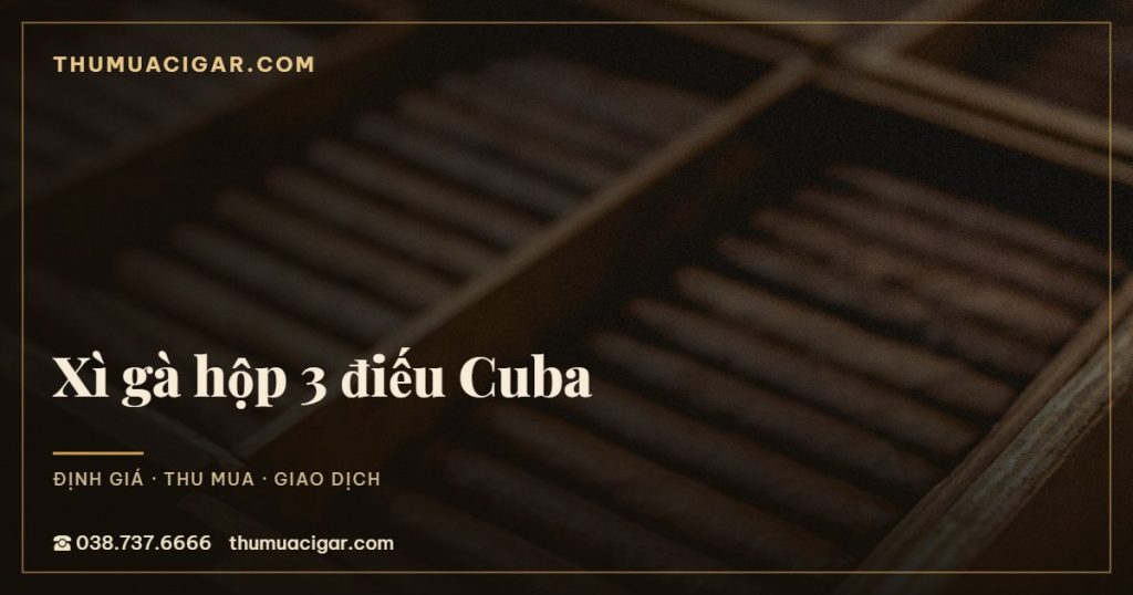 Xì gà hộp 3 điếu Cuba
