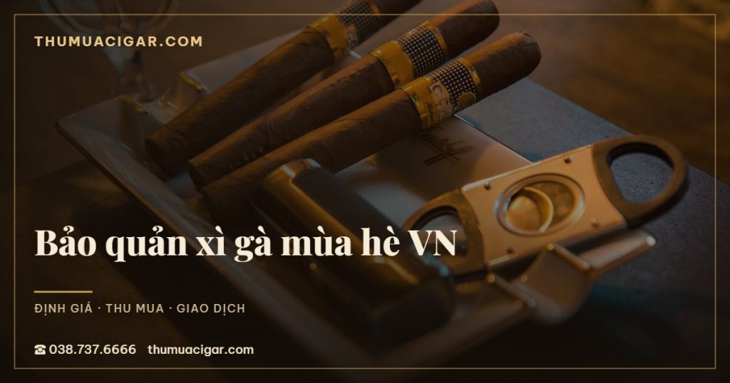Bảo quản xì gà mùa hè VN