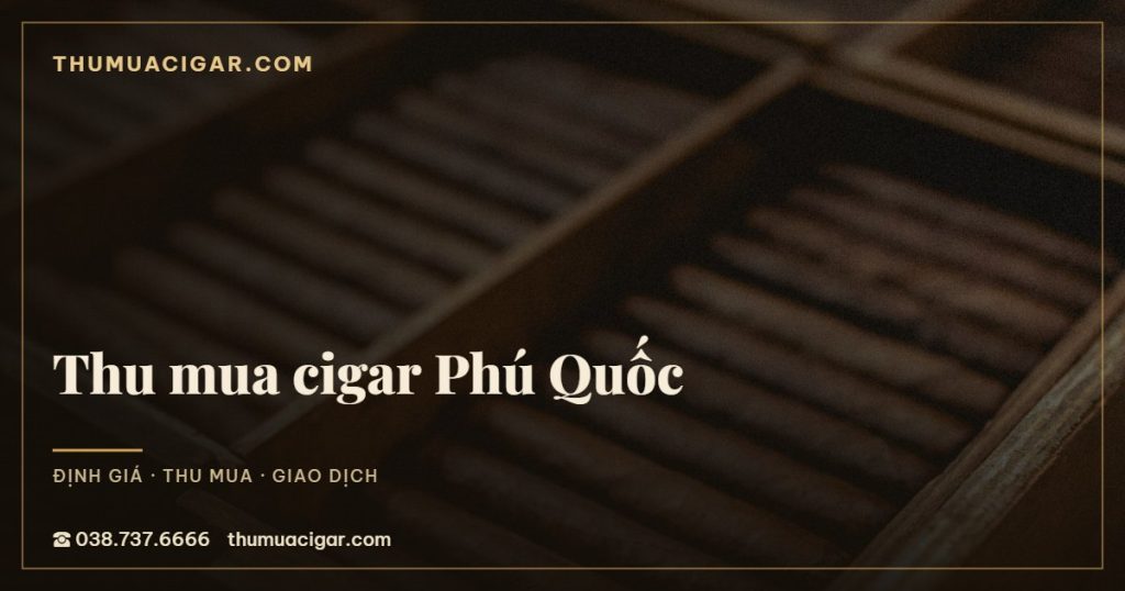 Thu mua cigar Phú Quốc