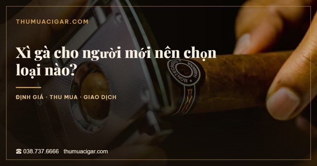 Xì gà cho người mới nên chọn loại nào?