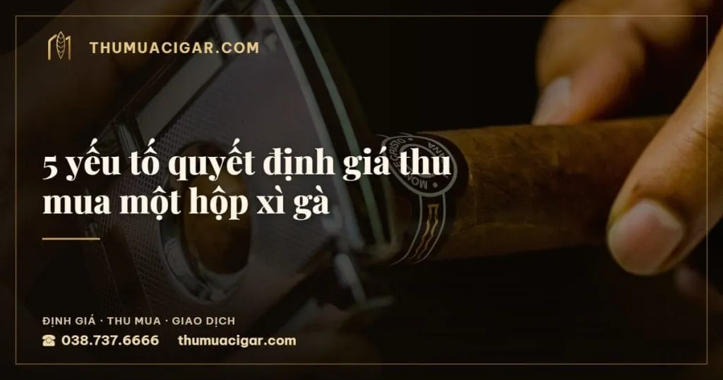 5 yếu tố quyết định giá thu mua một hộp xì gà, thu mua cigar giá cao, thumuacigar.com