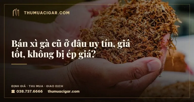 Bán xì gà cũ ở đâu uy tín, giá tốt, không bị ép giá?, thu mua cigar giá cao, thumuacigar.com
