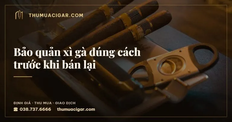 Bảo quản xì gà đúng cách trước khi bán lại, thu mua cigar giá cao, thumuacigar.com