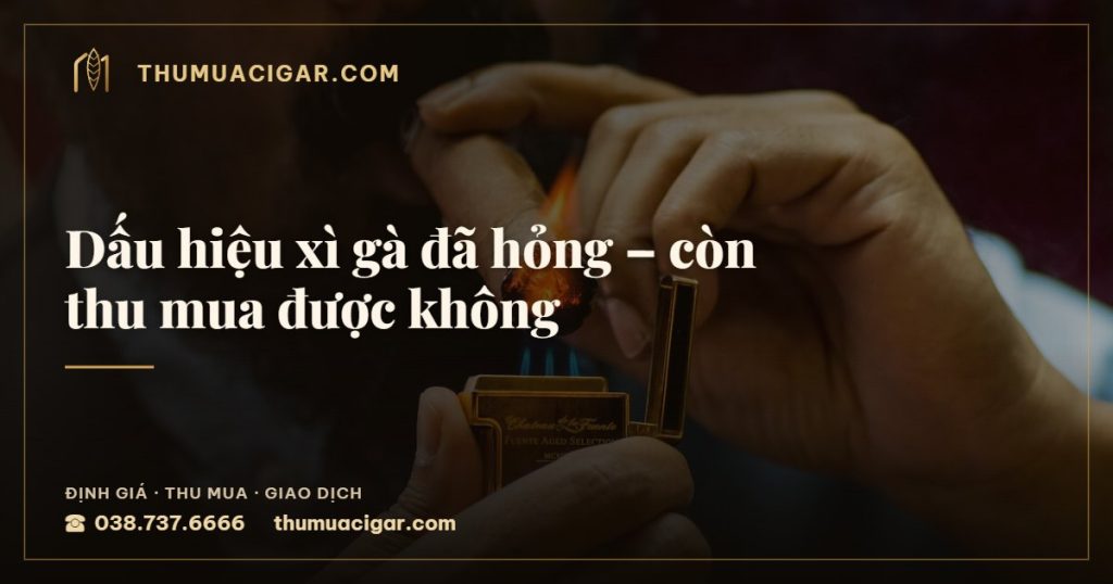 Dấu hiệu xì gà đã hỏng – còn thu mua được không — thu mua cigar giá cao, thumuacigar.com