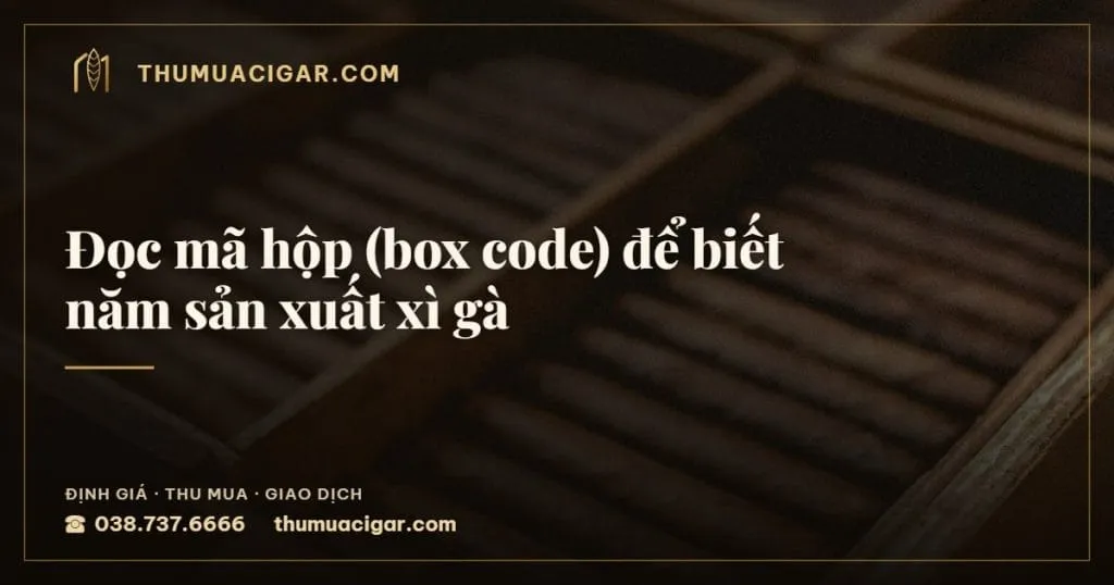 Đọc mã hộp (box code) để biết năm sản xuất xì gà, thu mua cigar giá cao, thumuacigar.com