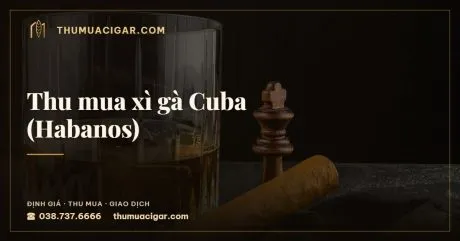 Thu mua xì gà Cuba (Habanos), dịch vụ thu mua cigar, thumuacigar.com
