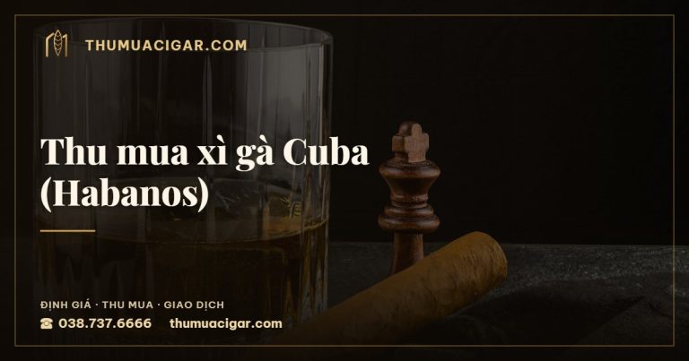 Thu mua xì gà Cuba (Habanos) — dịch vụ thu mua cigar, thumuacigar.com
