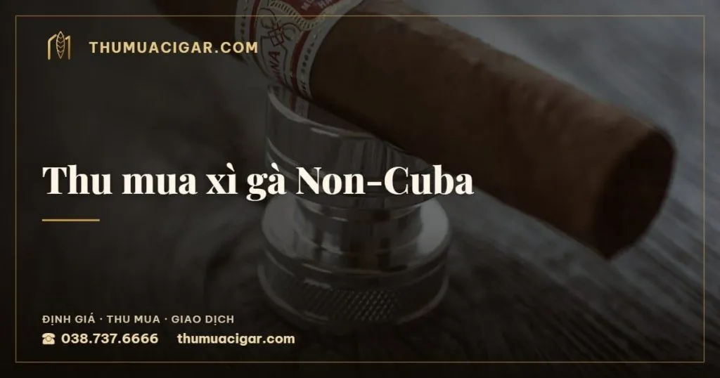 Thu mua xì gà Non-Cuba, dịch vụ thu mua cigar, thumuacigar.com