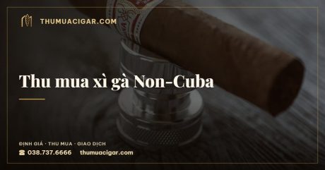 Thu mua xì gà Non-Cuba — dịch vụ thu mua cigar, thumuacigar.com