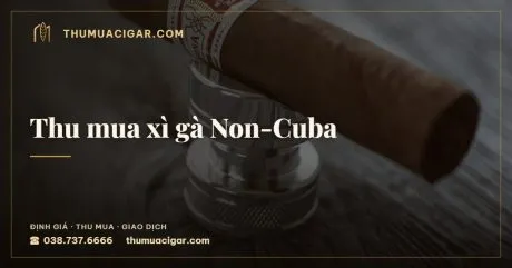 Thu mua xì gà Non-Cuba, dịch vụ thu mua cigar, thumuacigar.com