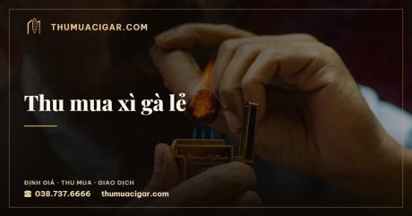 Thu mua xì gà lẻ — dịch vụ thu mua cigar, thumuacigar.com
