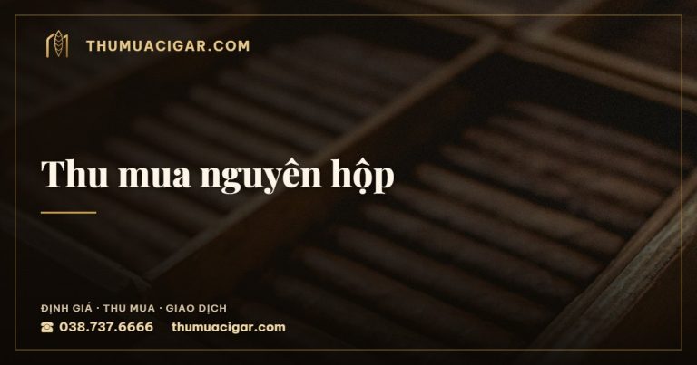 Thu mua nguyên hộp — dịch vụ thu mua cigar, thumuacigar.com
