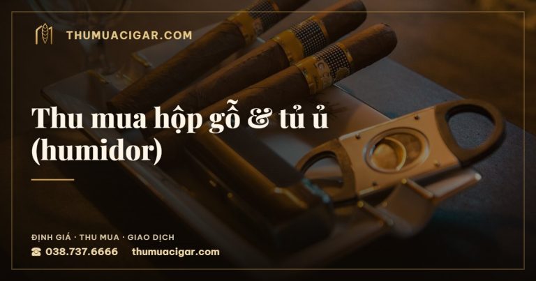 Thu mua hộp gỗ & tủ ủ (humidor) — dịch vụ thu mua cigar, thumuacigar.com