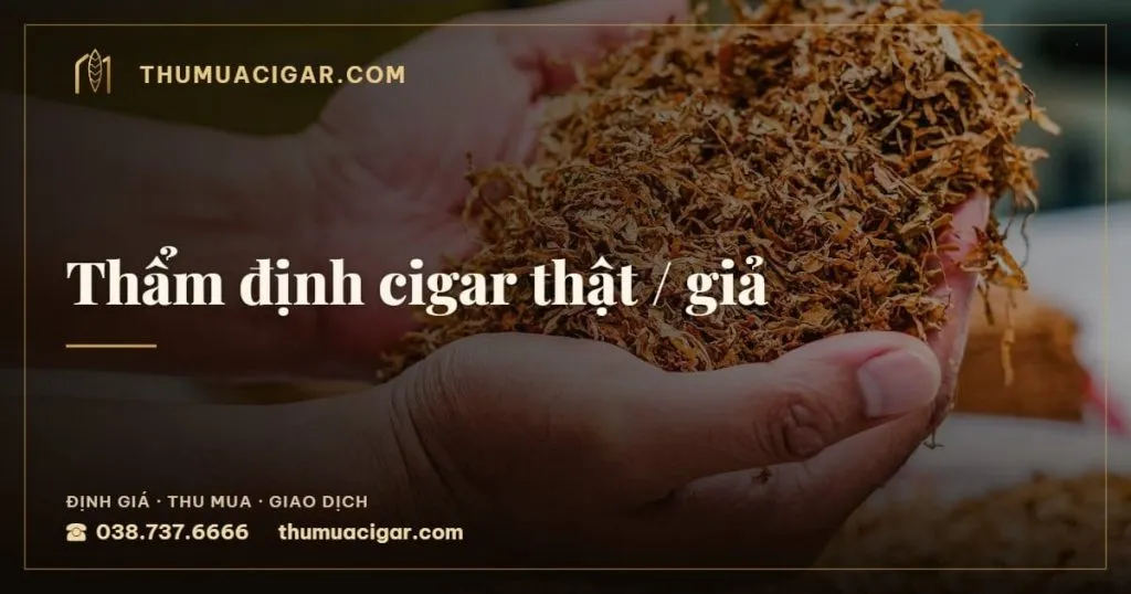 Thẩm định cigar thật / giả, dịch vụ thu mua cigar, thumuacigar.com