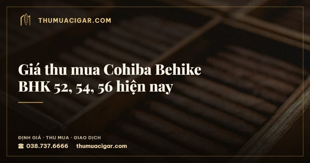 Giá thu mua Cohiba Behike BHK 52, 54, 56 hiện nay — thu mua cigar giá cao, thumuacigar.com