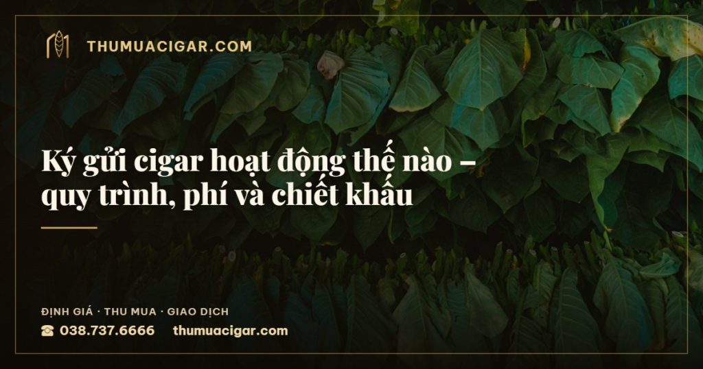 Ký gửi cigar hoạt động thế nào – quy trình, phí và chiết khấu — thu mua cigar giá cao, thumuacigar.com