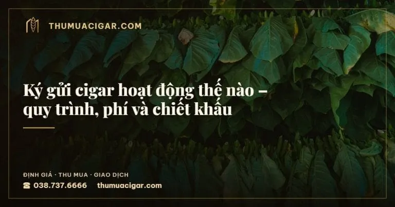 Ký gửi cigar hoạt động thế nào – quy trình, phí và chiết khấu, thu mua cigar giá cao, thumuacigar.com