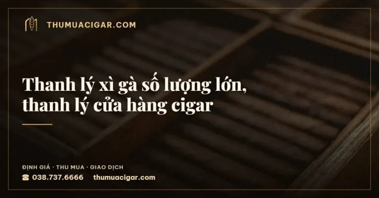 Thanh lý xì gà số lượng lớn, thanh lý cửa hàng cigar, thu mua cigar giá cao, thumuacigar.com