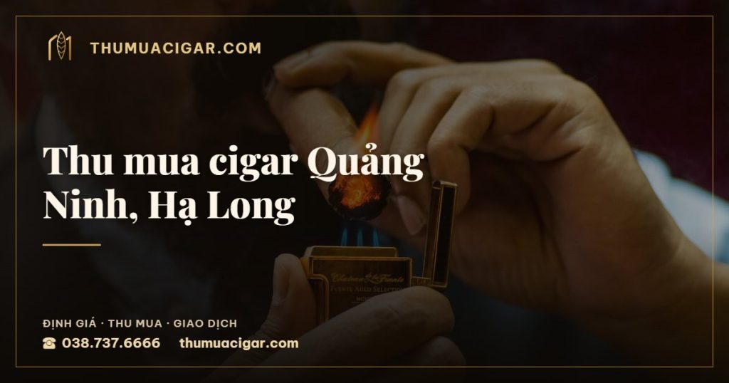 Thu mua cigar Quảng Ninh, Hạ Long — thu mua cigar giá cao, thumuacigar.com
