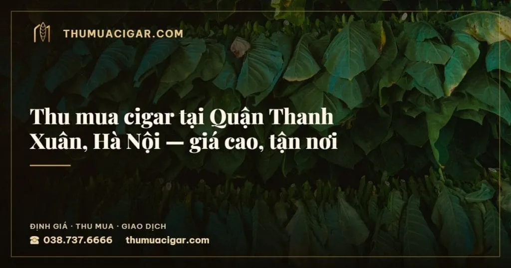 Thu mua cigar tại Quận Thanh Xuân, Hà Nội, giá cao, tận nơi, thu mua cigar giá cao, thumuacigar.com