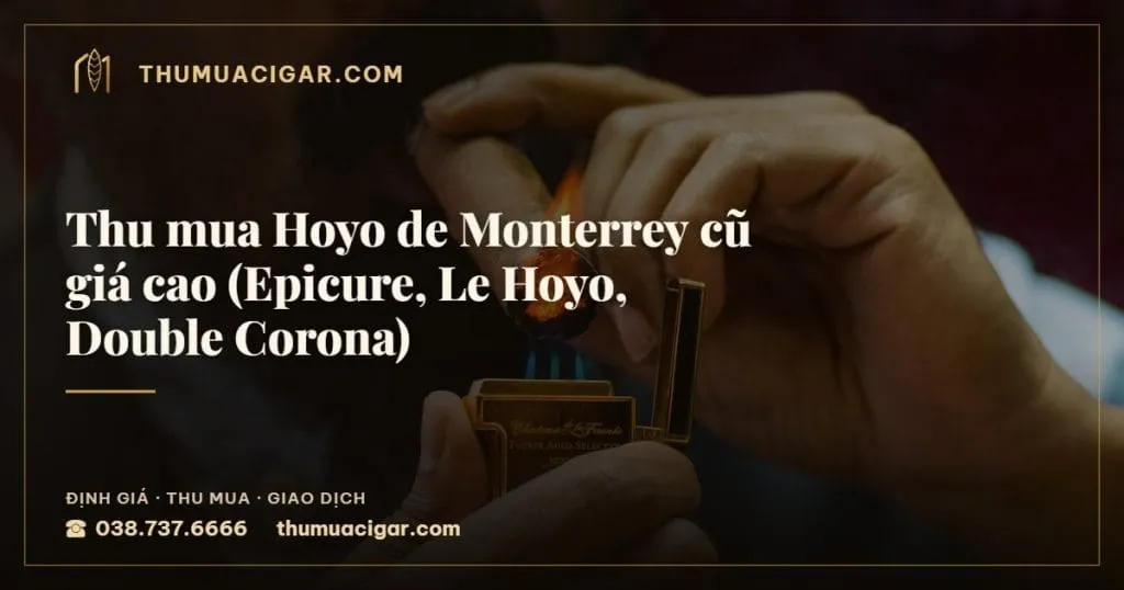 Thu mua Hoyo de Monterrey cũ giá cao (Epicure, Le Hoyo, Double Corona), thu mua cigar giá cao, thumuacigar.com
