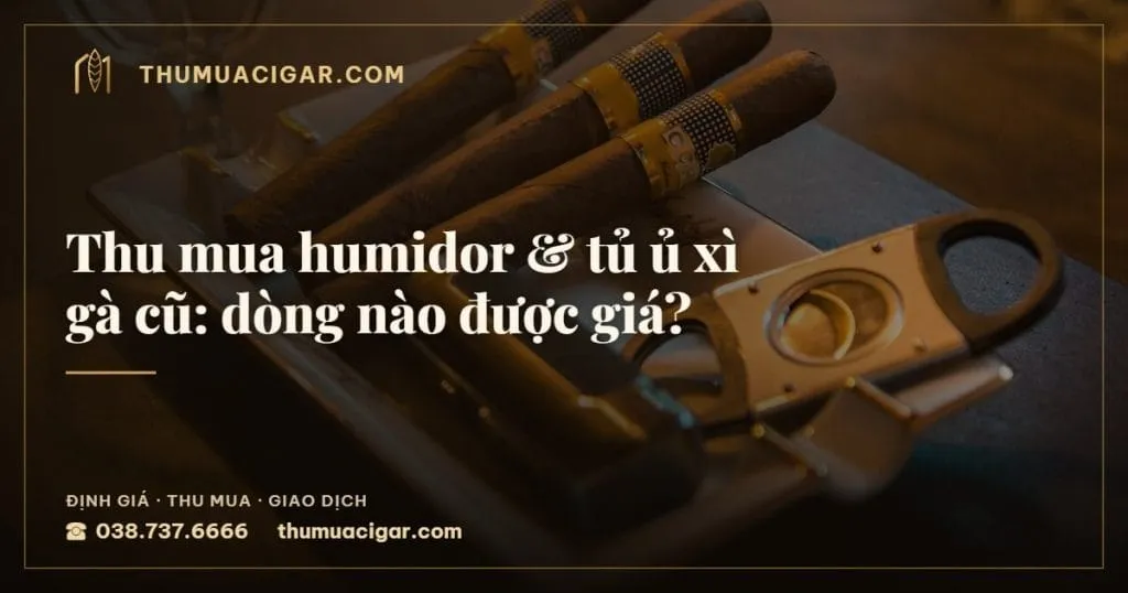Thu mua humidor & tủ ủ xì gà cũ: dòng nào được giá?, thu mua cigar giá cao, thumuacigar.com