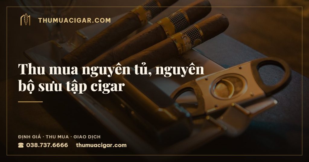 Thu mua nguyên tủ, nguyên bộ sưu tập cigar — thu mua cigar giá cao, thumuacigar.com