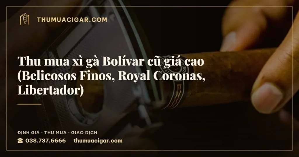 Thu mua xì gà Bolívar cũ giá cao (Belicosos Finos, Royal Coronas, Libertador), thu mua cigar giá cao, thumuacigar.com