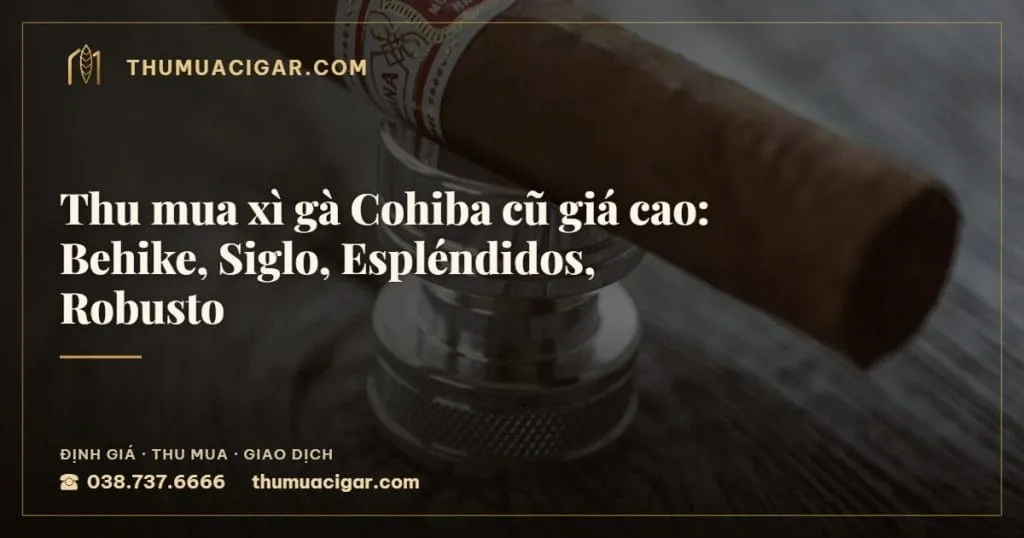 Thu mua xì gà Cohiba cũ giá cao: Behike, Siglo, Espléndidos, Robusto, thu mua cigar giá cao, thumuacigar.com