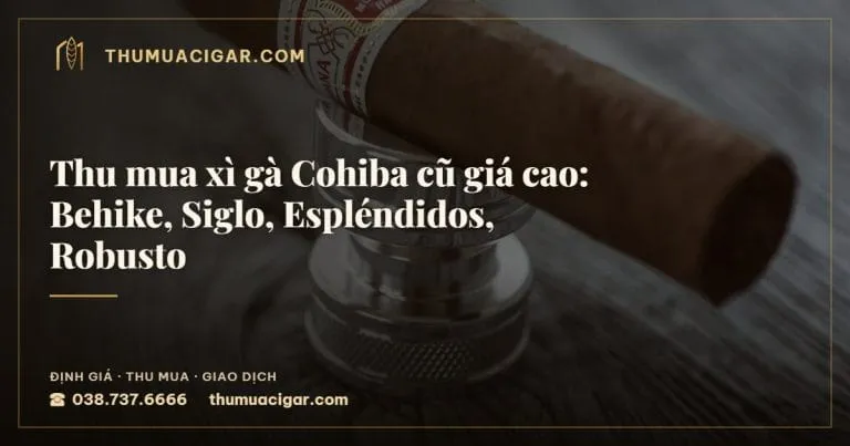 Thu mua xì gà Cohiba cũ giá cao: Behike, Siglo, Espléndidos, Robusto, thu mua cigar giá cao, thumuacigar.com