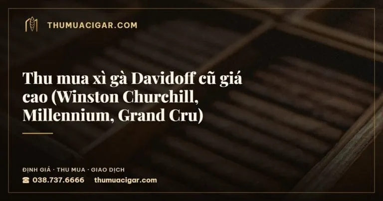 Thu mua xì gà Davidoff cũ giá cao (Winston Churchill, Millennium, Grand Cru), thu mua cigar giá cao, thumuacigar.com